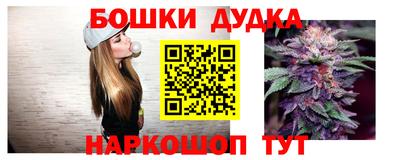 шишки Апшеронск