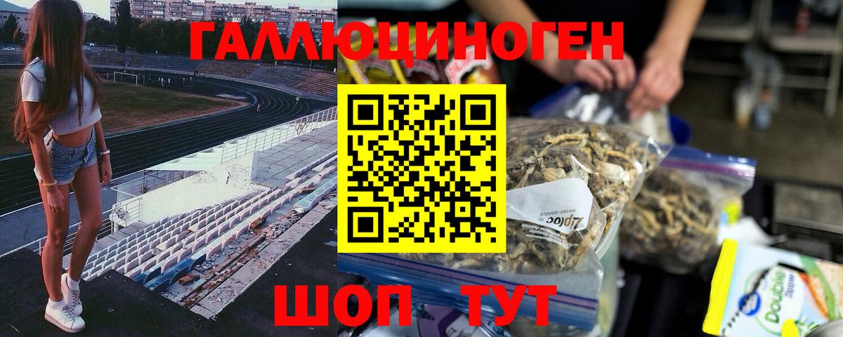 Псилоцибиновые грибы Cubensis Березники