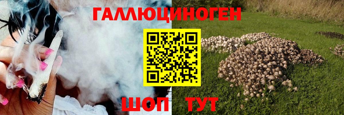 Березники  где найти наркотики  Вход с VPN  Галлюциногенные грибы Magic Shrooms  Галлюциногенные грибы ЛСД 